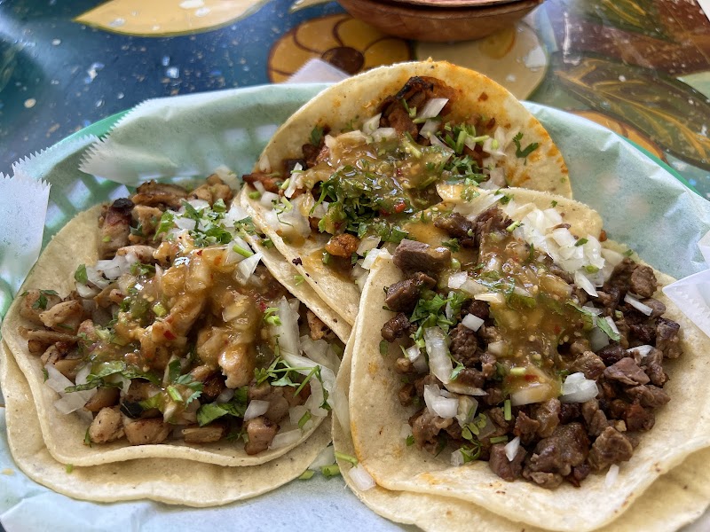 El Metate Taqueria photo 2