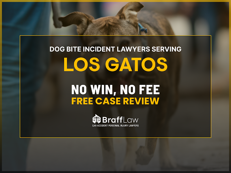 Braff Law Car Accident Personal Injury Lawyers photo 4