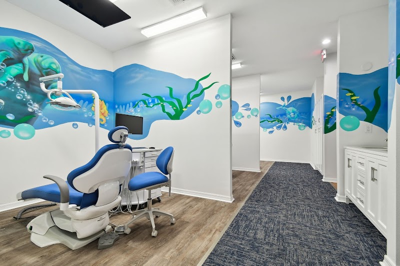Land O Lakes Children's Dentistry + Orthodontics photo 2