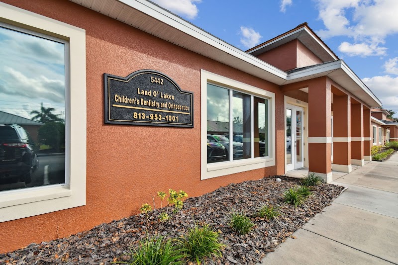 Land O Lakes Children's Dentistry + Orthodontics photo 3