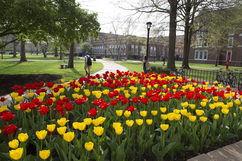 Pittsburg State University photo 4