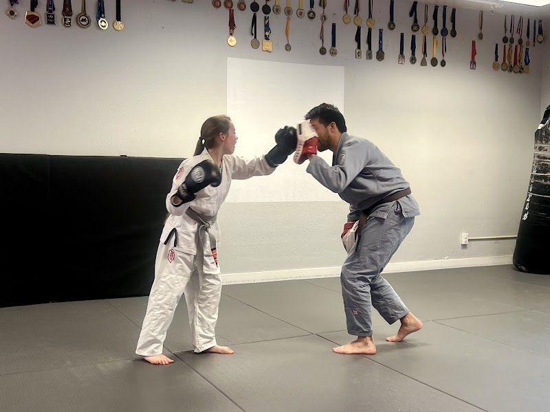 Old School Martial Arts photo 3