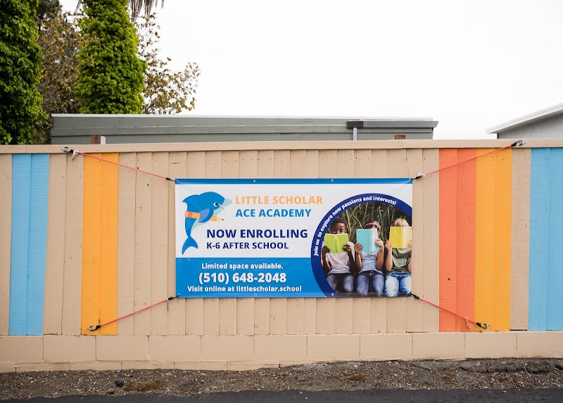 Little Scholar ACE Academy photo 5
