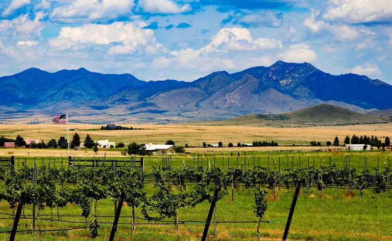 Deep Sky Vineyard photo 5