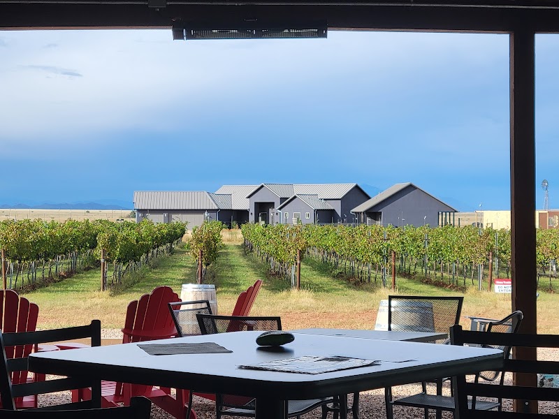 Deep Sky Vineyard photo 3
