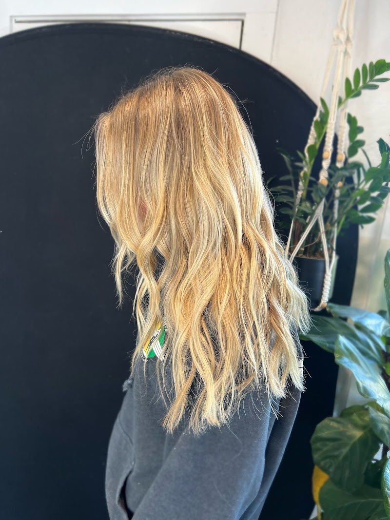 Peyton Mott - Hair Stylist photo 2