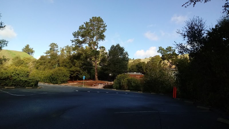 Moraga Valley Swim & Tennis Club photo 4