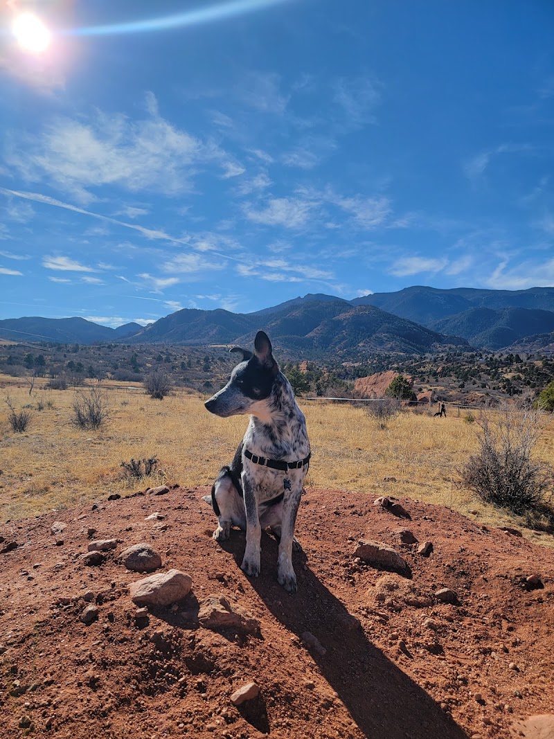 Red Rock Canyon Dog Park photo 2