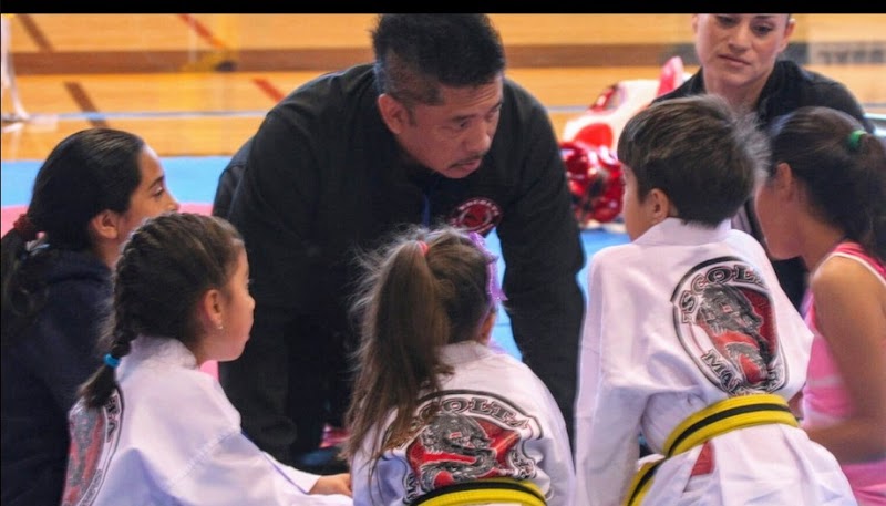 Escolta Martial Arts photo 2