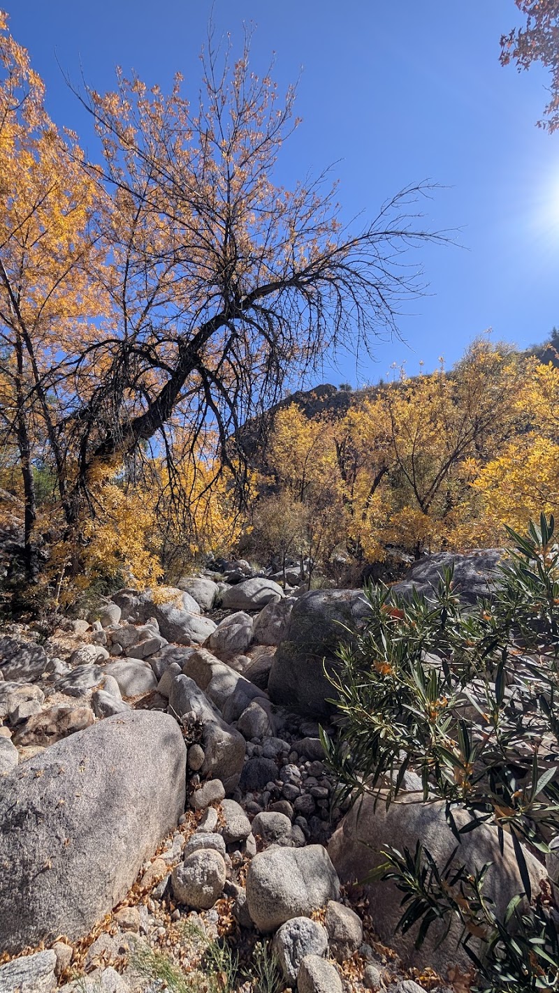 Pusch Ridge Wilderness photo 3