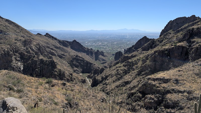 Photo of Pusch Ridge Wilderness