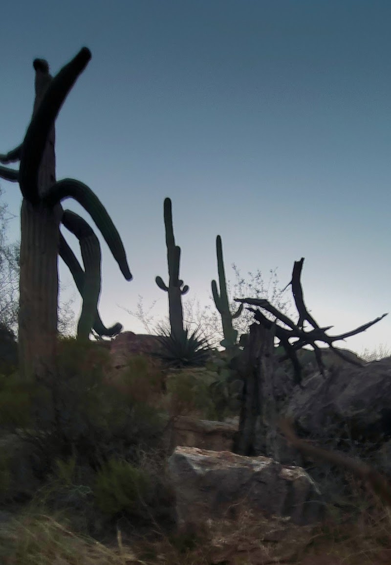 Pusch Ridge Wilderness photo 2