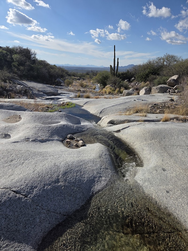 Pusch Ridge Wilderness photo 5