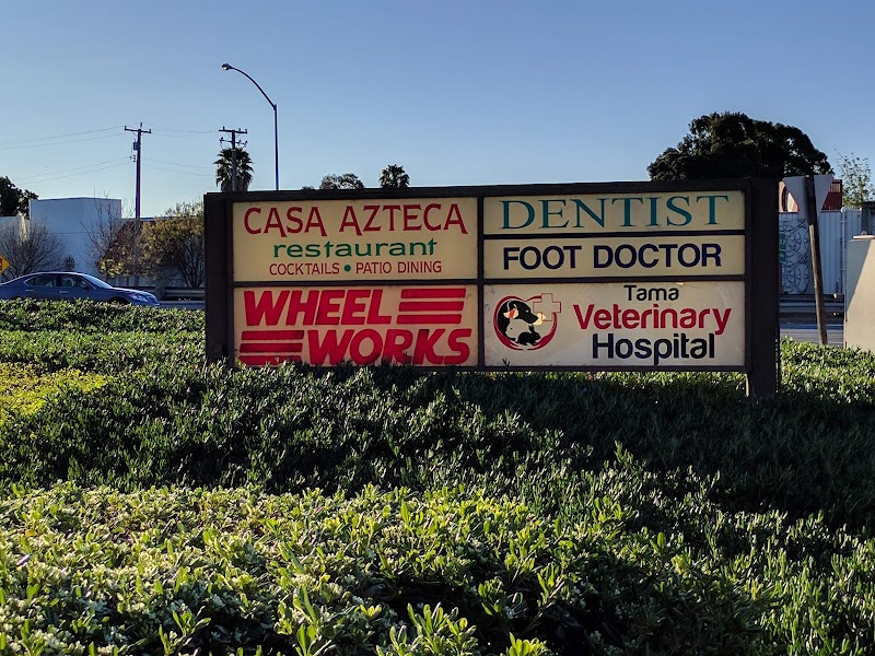 Abel Dental Care photo 3