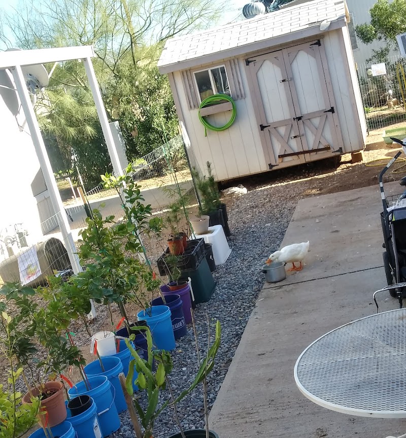 Photo of Frontier MHC ( formally Eloy Mobile Home Park )