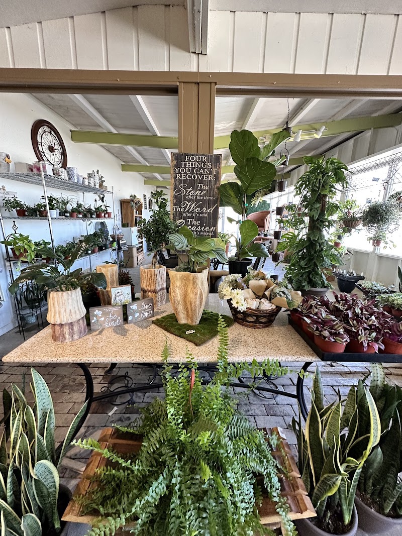 Wine Country Garden Center photo 3
