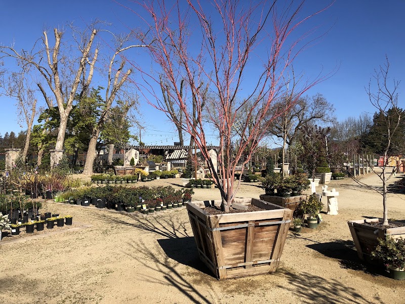 Wine Country Garden Center photo 5