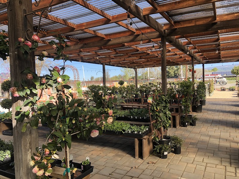 Wine Country Garden Center photo 2