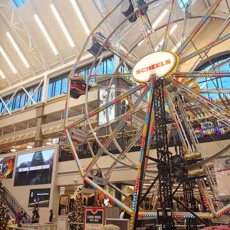 Scheels photo 4