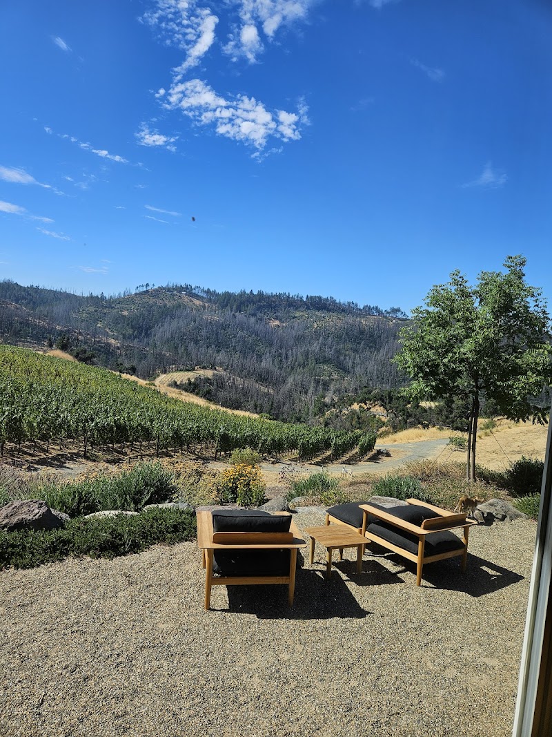 Cornell Vineyards photo 5
