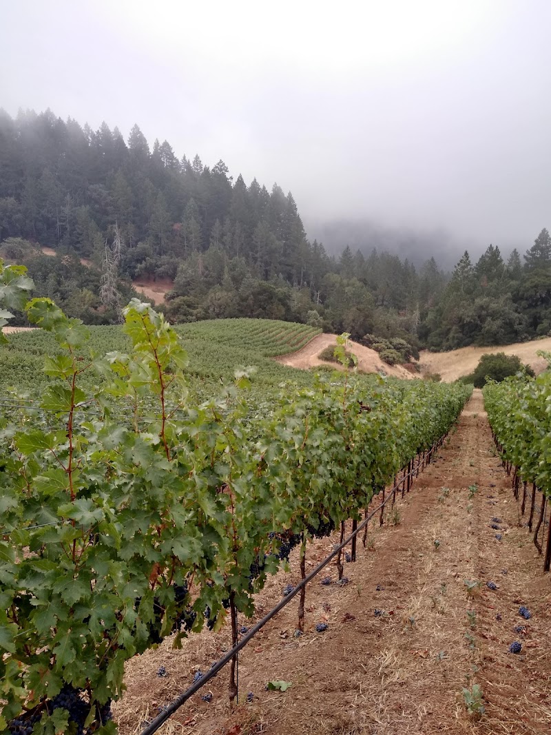 Cornell Vineyards photo 2