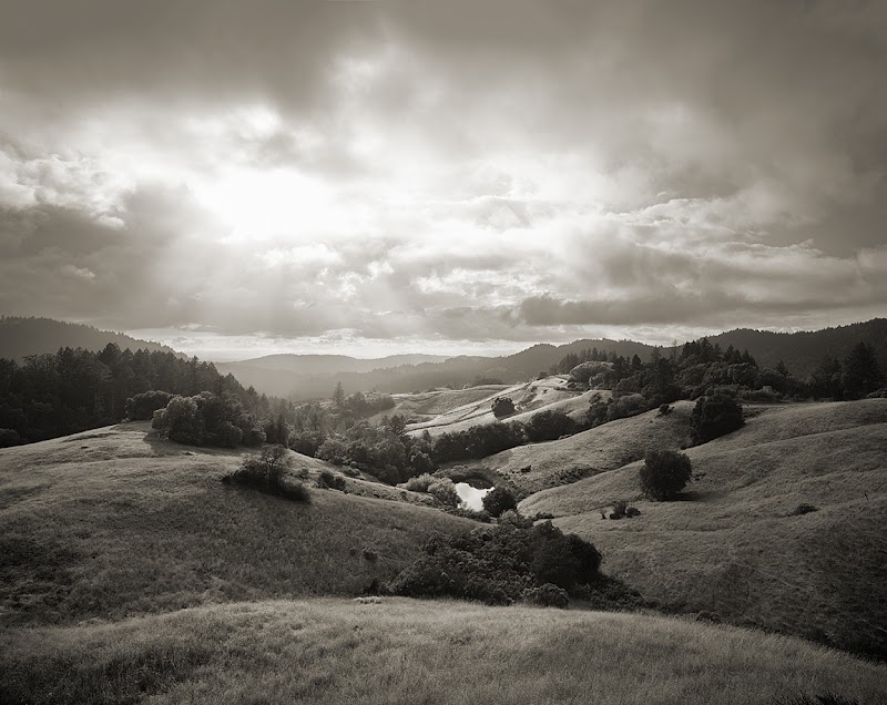 Photo of Cornell Vineyards