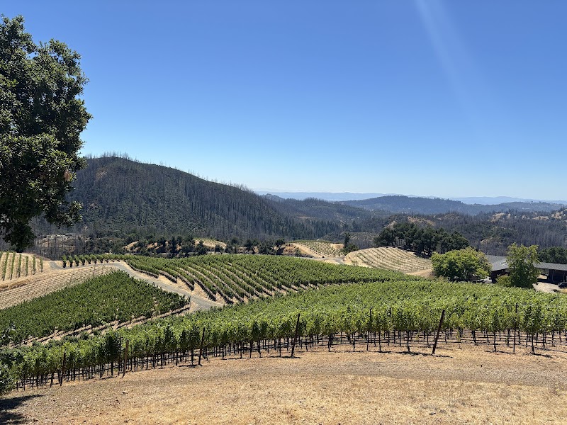 Cornell Vineyards photo 3