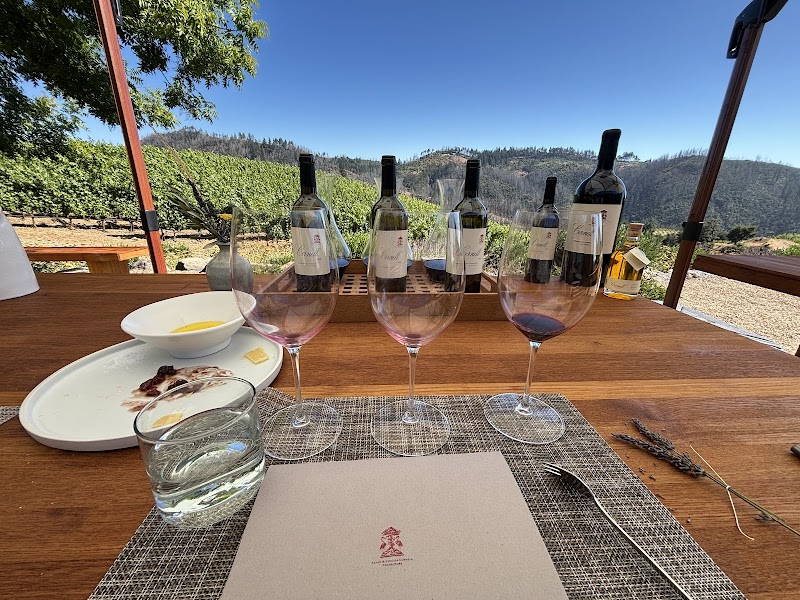 Cornell Vineyards photo 4