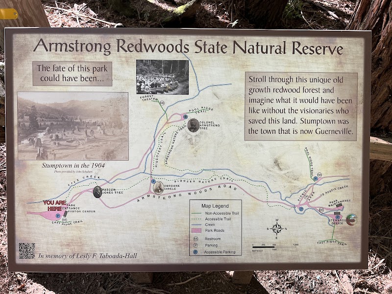 Armstrong Redwoods State Natural Reserve photo 3