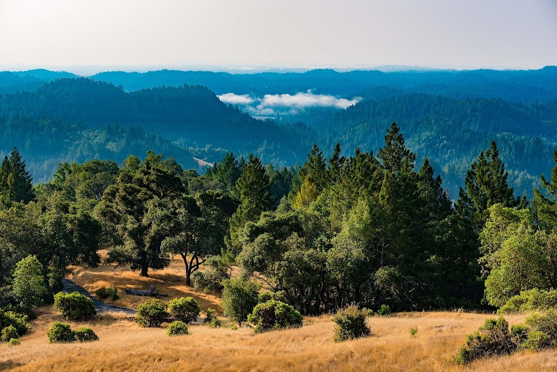 Armstrong Redwoods State Natural Reserve photo 5
