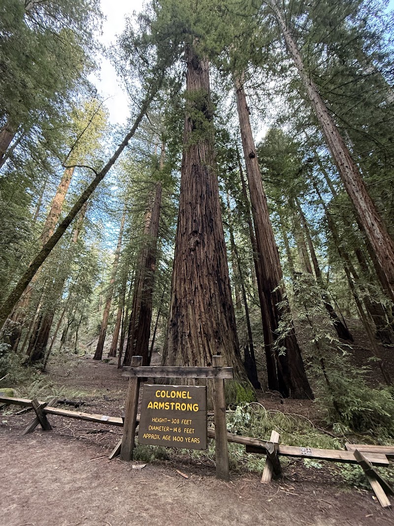 Photo of Armstrong Redwoods State Natural Reserve