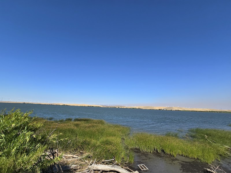 Photo of Brannan Island Scenic View
