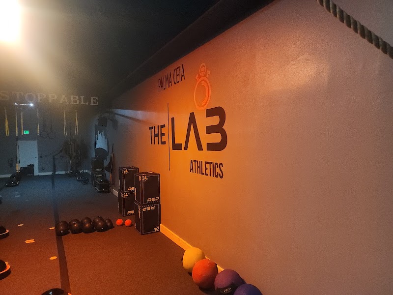 Photo of Lab Athletics