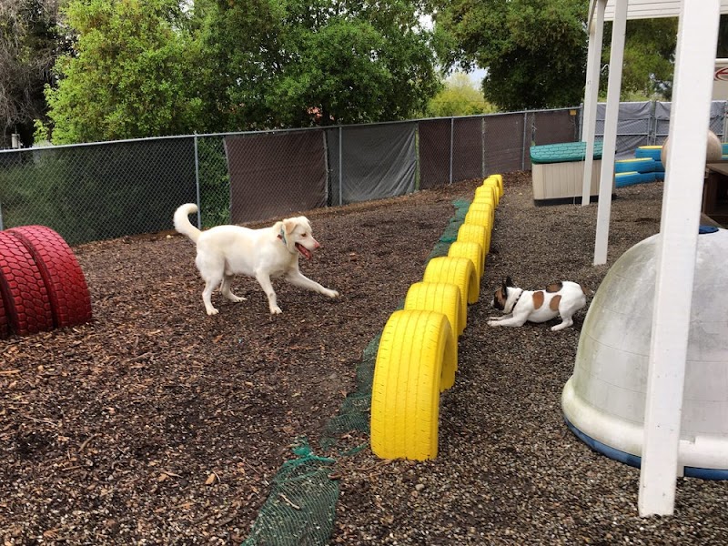 All Breed Grooming and Pet Day Care photo 3