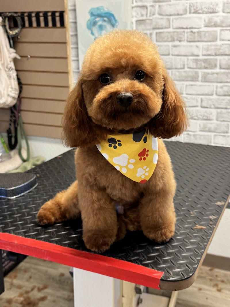 All Breed Grooming and Pet Day Care photo 4