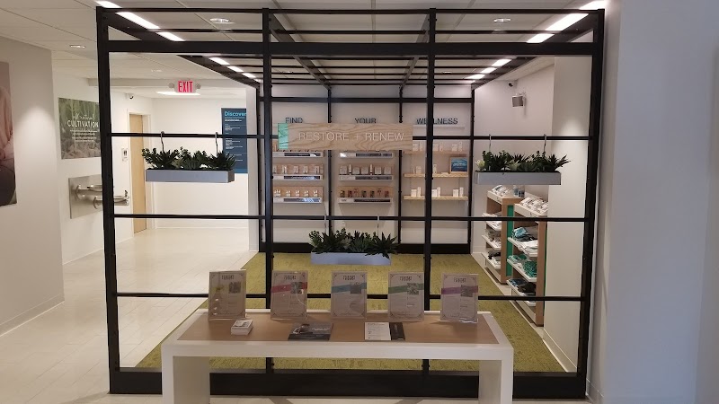 Surterra Wellness - Medical Marijuana Dispensary | Brooksville photo 5