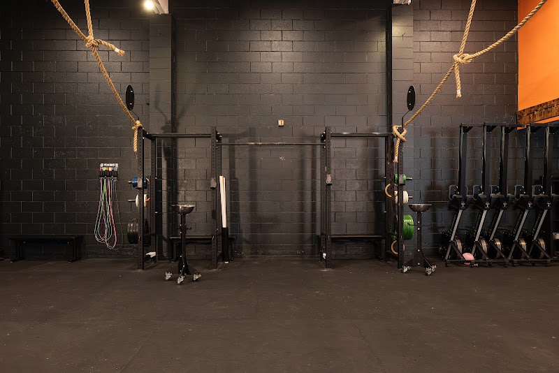Regain Performance Physical Therapy photo 2