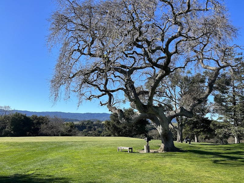 Stanford Golf Course photo 3