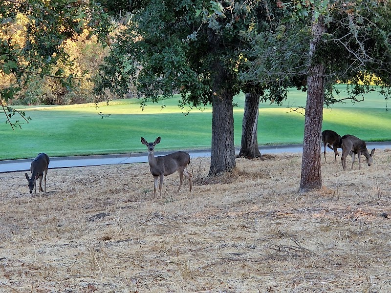 Stanford Golf Course photo 5