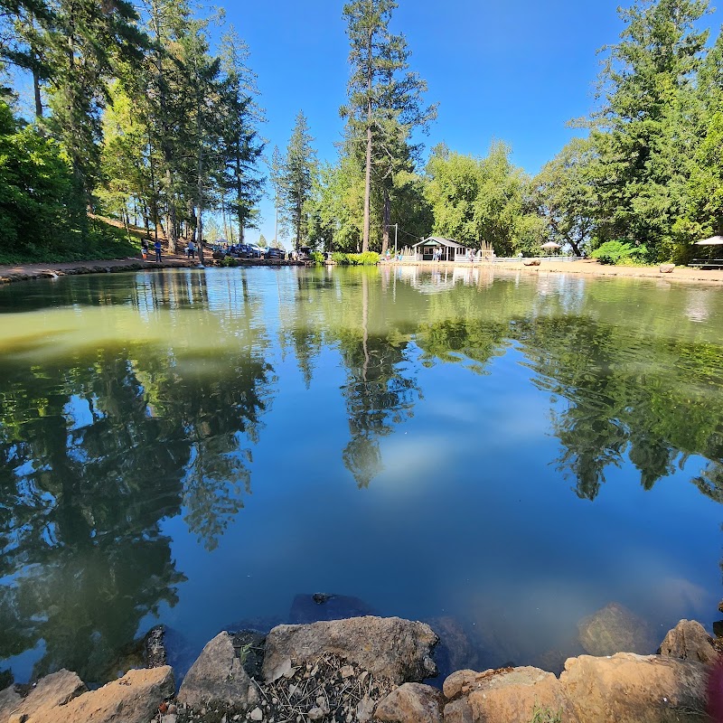 Smith's Mt. St. Helena Trout Farm & Hatchery photo 2