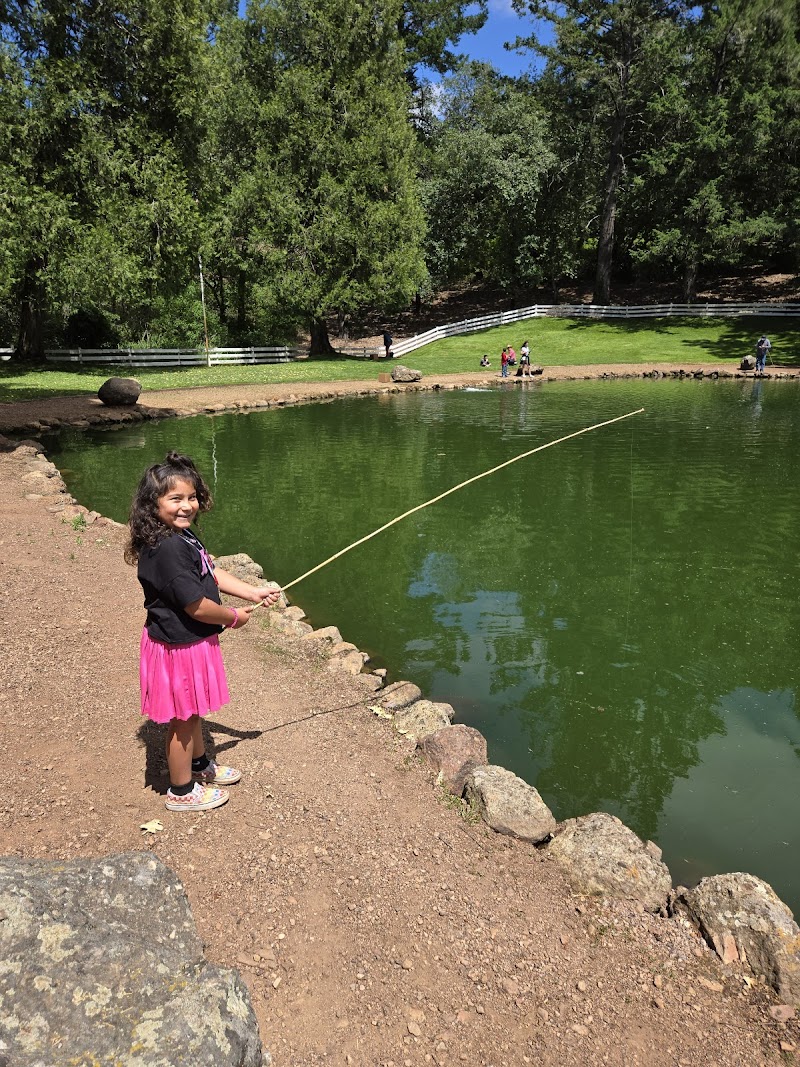 Smith's Mt. St. Helena Trout Farm & Hatchery photo 3