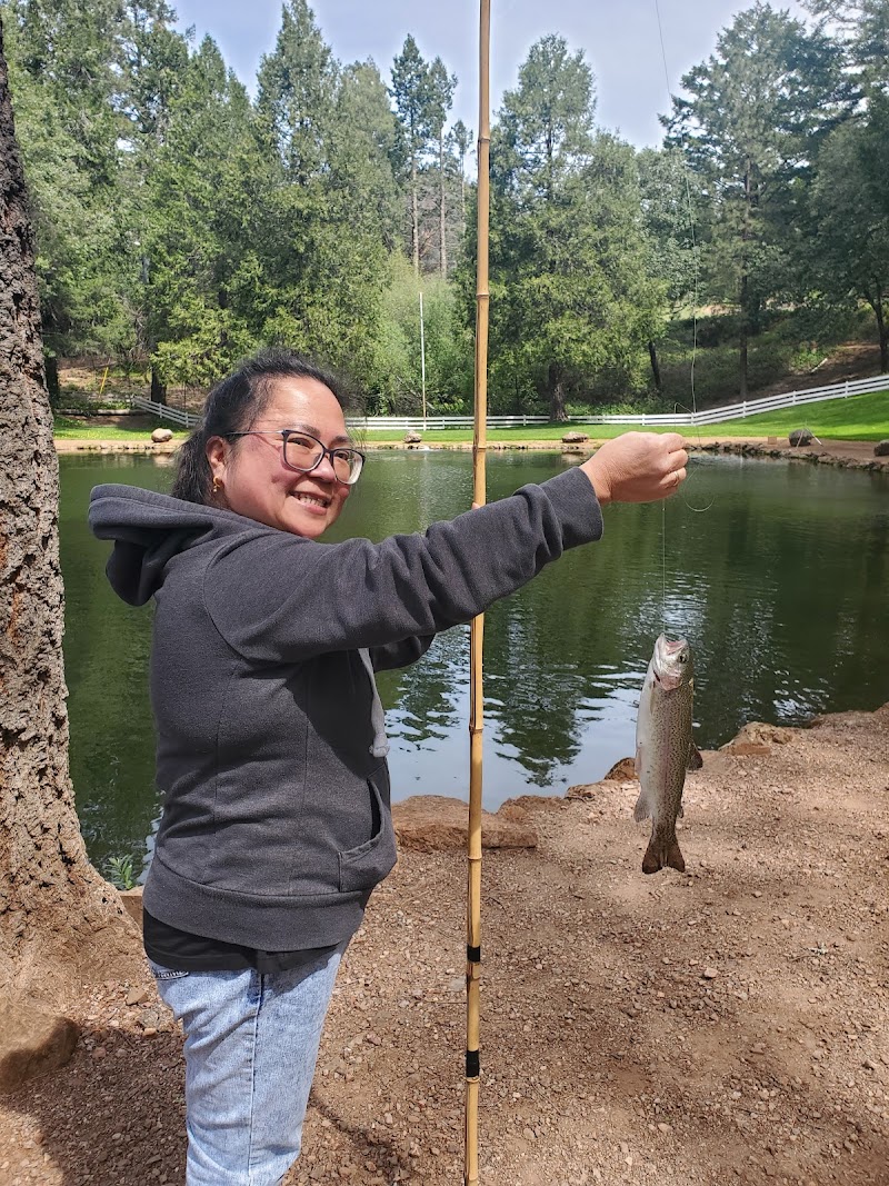 Smith's Mt. St. Helena Trout Farm & Hatchery photo 4