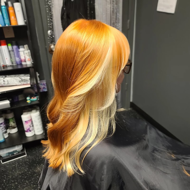 @lynraepaintshair photo 3
