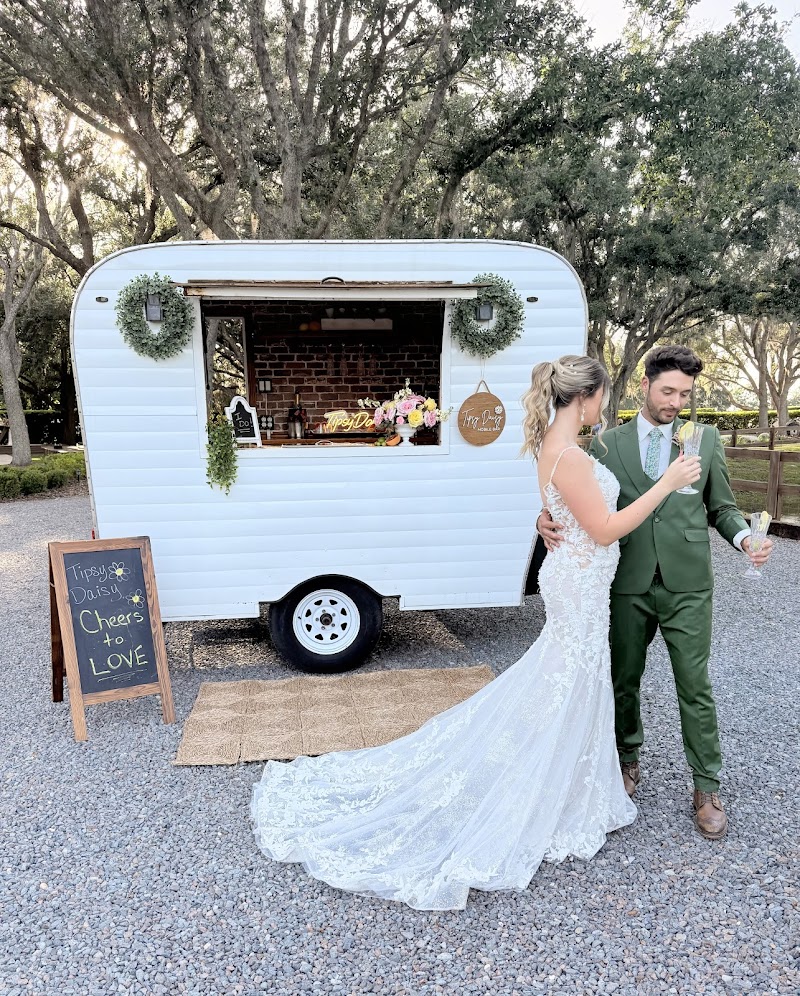 Tipsy Daisy Mobile Bar by Colleen Kelly photo 4