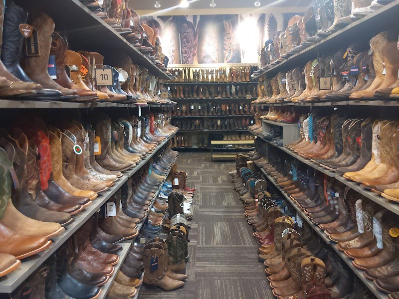 Sportsman's Warehouse photo 3