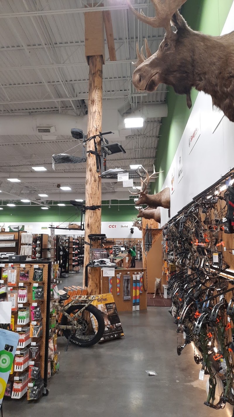 Sportsman's Warehouse photo 2
