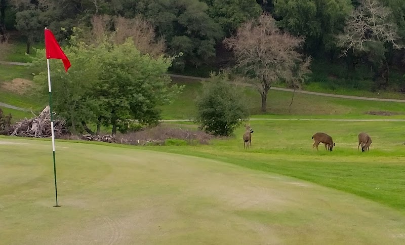 Tayman Park photo 5