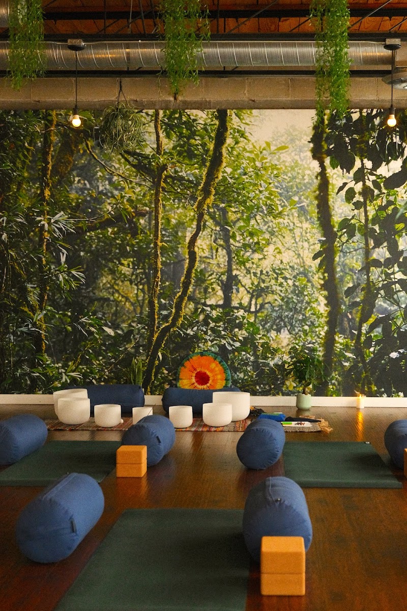 Half Pigeon Yoga Studio photo 2