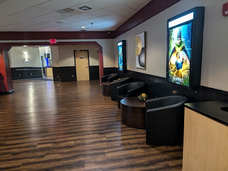 Touchstar Cinemas - Spring Hill 8 photo 3