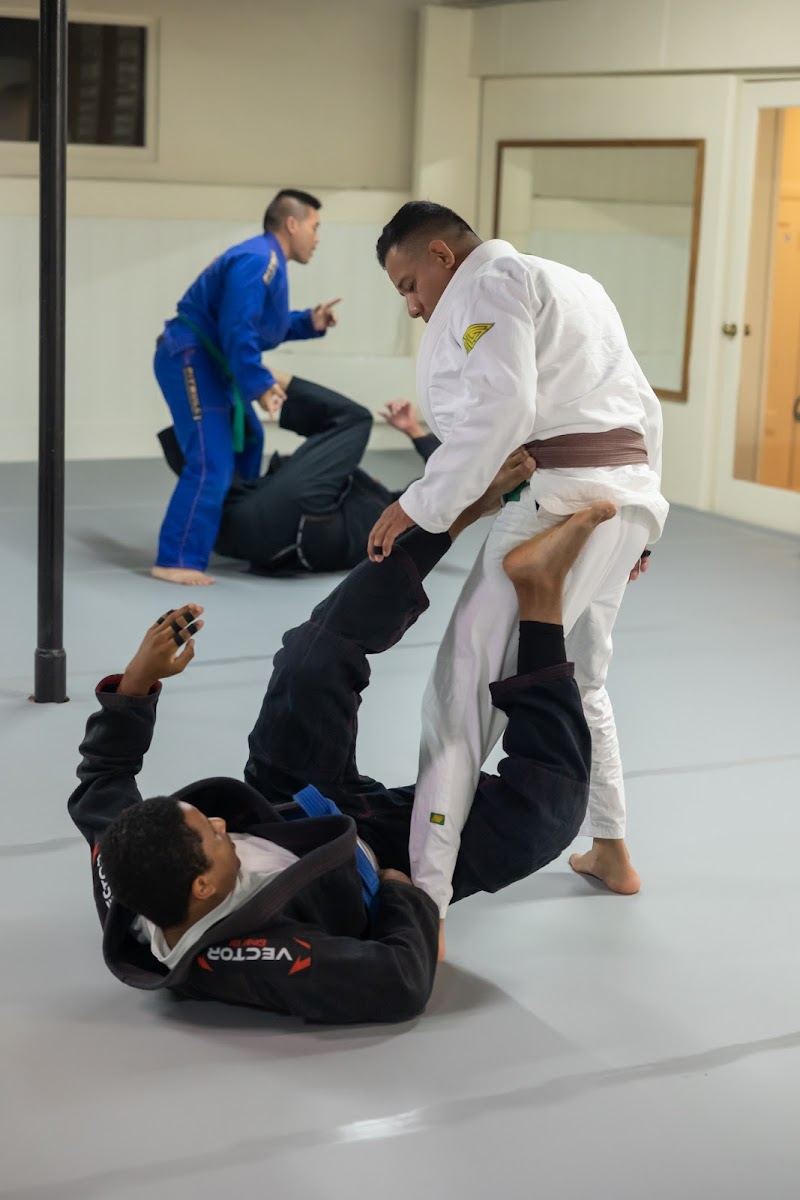 Wauriman Borges Brazilian Jiu Jitsu - San Bruno photo 4